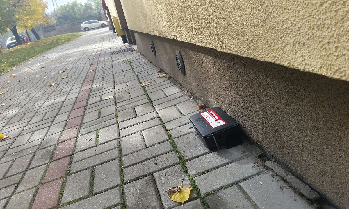 KarmnikDeratyzacyjny-1200x720 Akcja deratyzacyjna