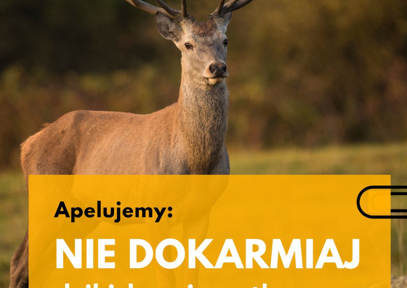 nie-dokarmiaj-2 Komunikat dla mieszkańców w sprawie dokarmiania dzikich zwierząt