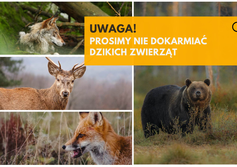 dokarmianie-zwierzat